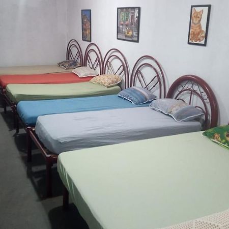 Hostel Santuario De Protecao Animal Filhos De Salomao Bragança Paulista Екстериор снимка