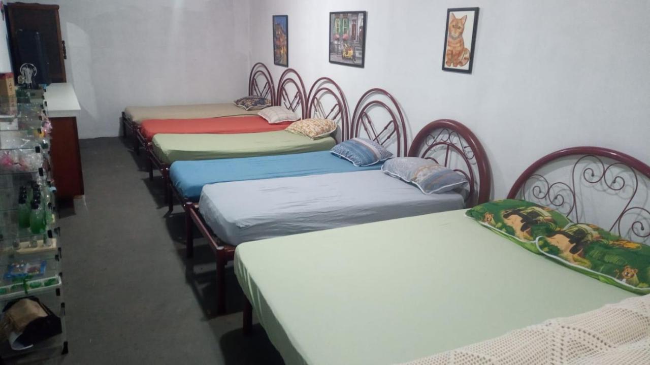 Hostel Santuario De Protecao Animal Filhos De Salomao Bragança Paulista Екстериор снимка