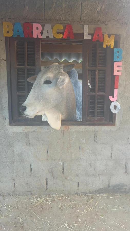 Hostel Santuario De Protecao Animal Filhos De Salomao Bragança Paulista Екстериор снимка