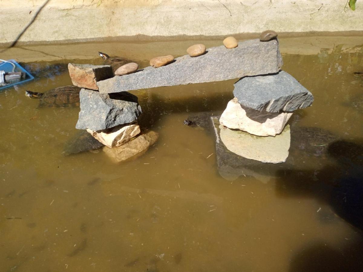 Hostel Santuario De Protecao Animal Filhos De Salomao Bragança Paulista Екстериор снимка